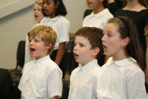 IMG_7978 IMG_7978